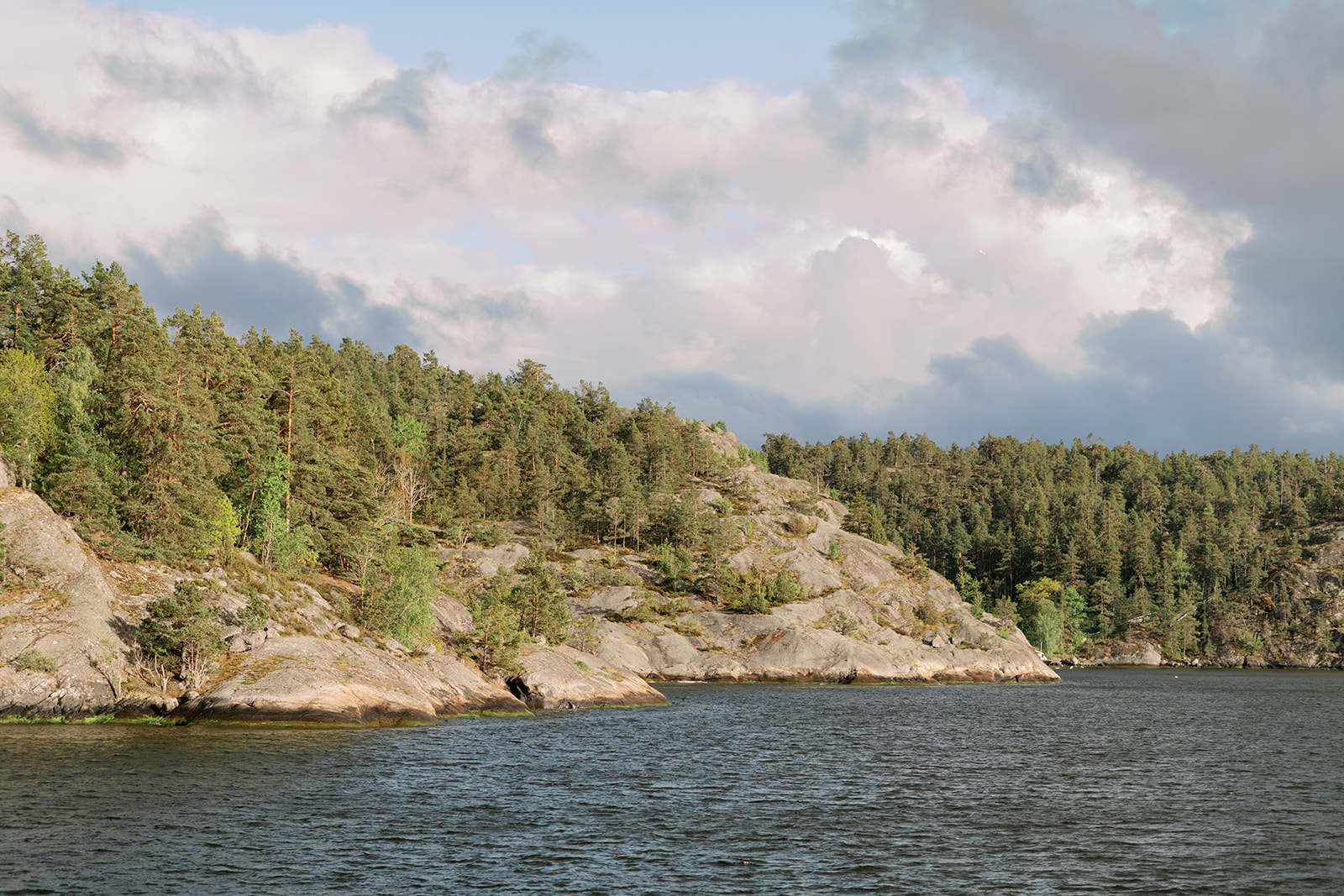brudpar trädgård Högberga Gård