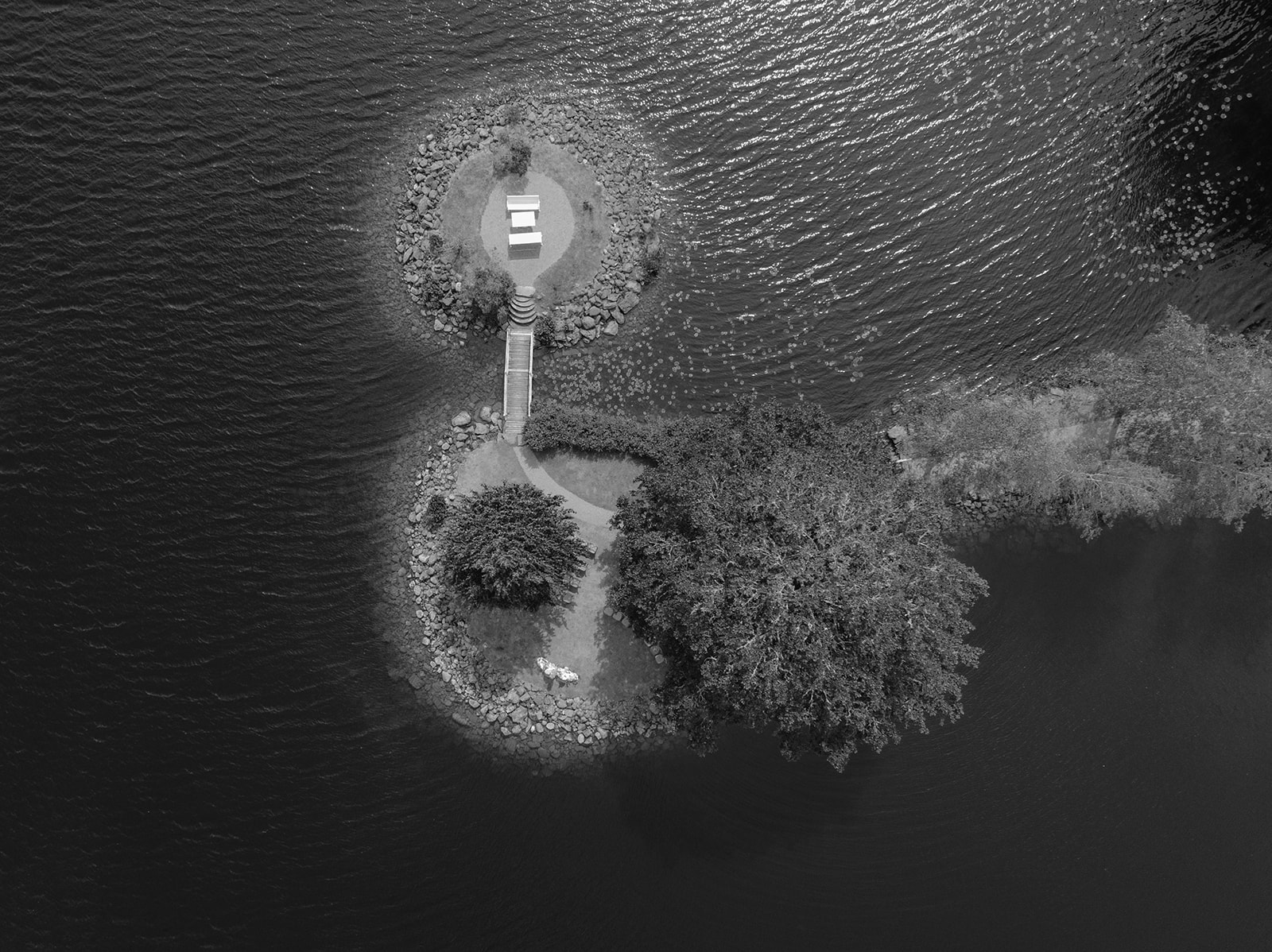 bröllopsfotograf stockholm