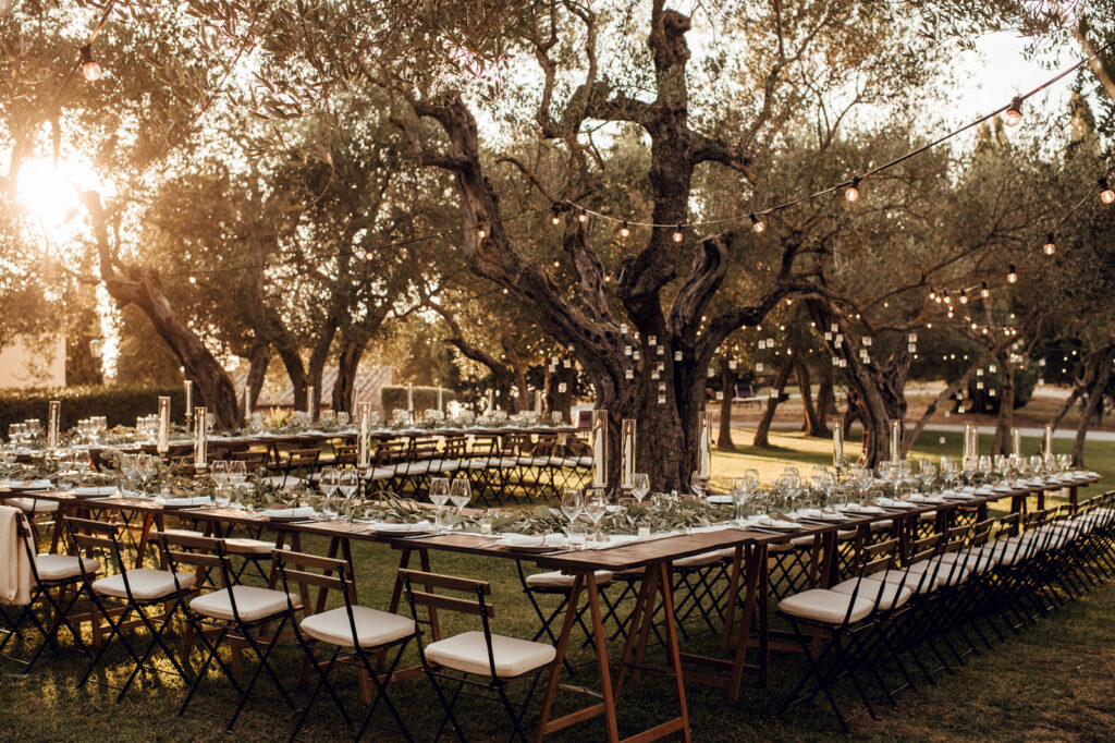 Long dinner table under olive trees at sunset, Tuscan outdoor reception