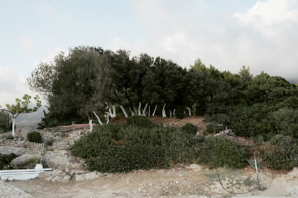 Garden and trees on the hillside at Millstone Villa, Kefalonia