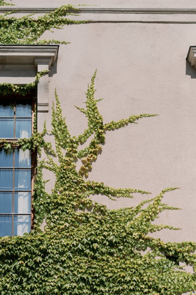 Bröllop på Maryhill Estate: en fotografs guide 18 bröllopsfotograf stockholm