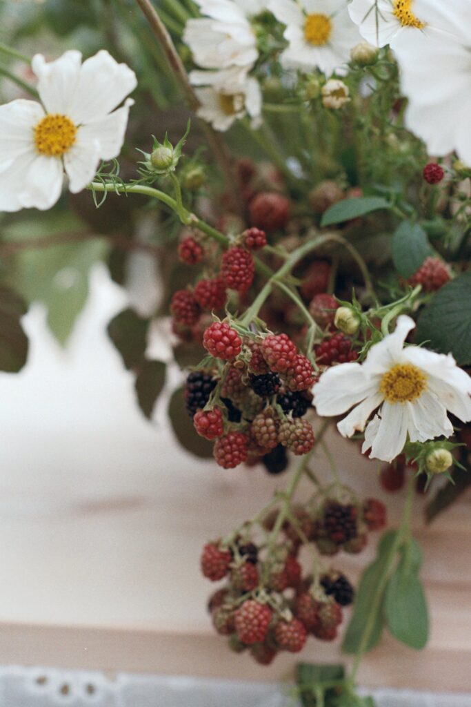 Close-up of blackberries and white flowers in a floral arrangement, shot on 35mm film