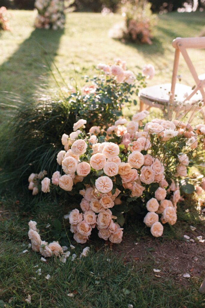 Pink roses and grasses in a floral arrangement on the grass by the chairs, shot on 35mm film