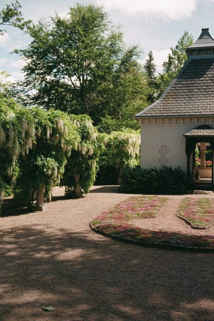 Wedding at Norrvikens trädgårdar 12 White pavilion with a black roof behind a gravel courtyard with flower beds and white wisteria, shot on 35mm film